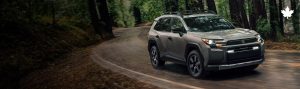 2026 RAV4 Woodland